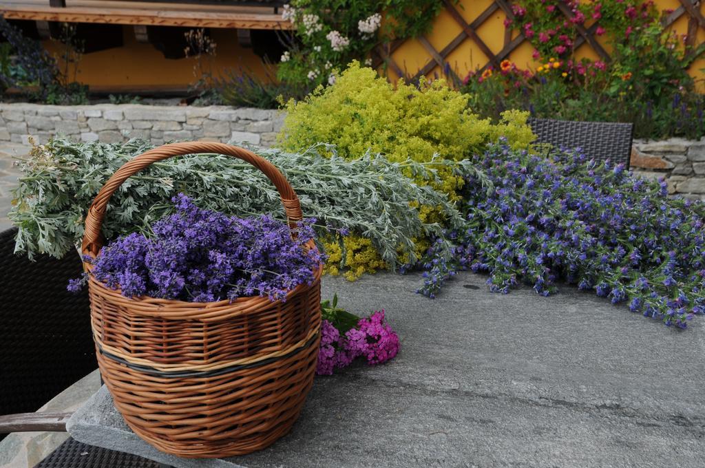 Sulamith Ferienhaus Mit Garten Sankt Kathrein am Offenegg Zewnętrze zdjęcie
