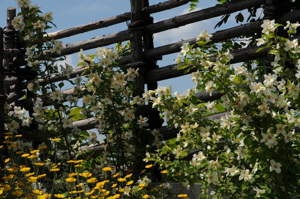Sulamith Ferienhaus Mit Garten Sankt Kathrein am Offenegg Zewnętrze zdjęcie