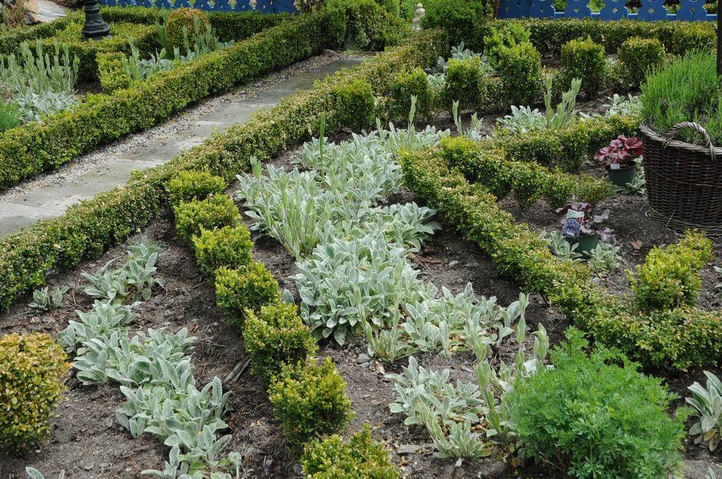 Sulamith Ferienhaus Mit Garten Sankt Kathrein am Offenegg Zewnętrze zdjęcie